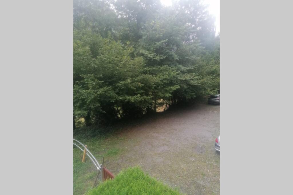 Appartement T2 30m², 4/6 personnes Cauterets Esterno foto